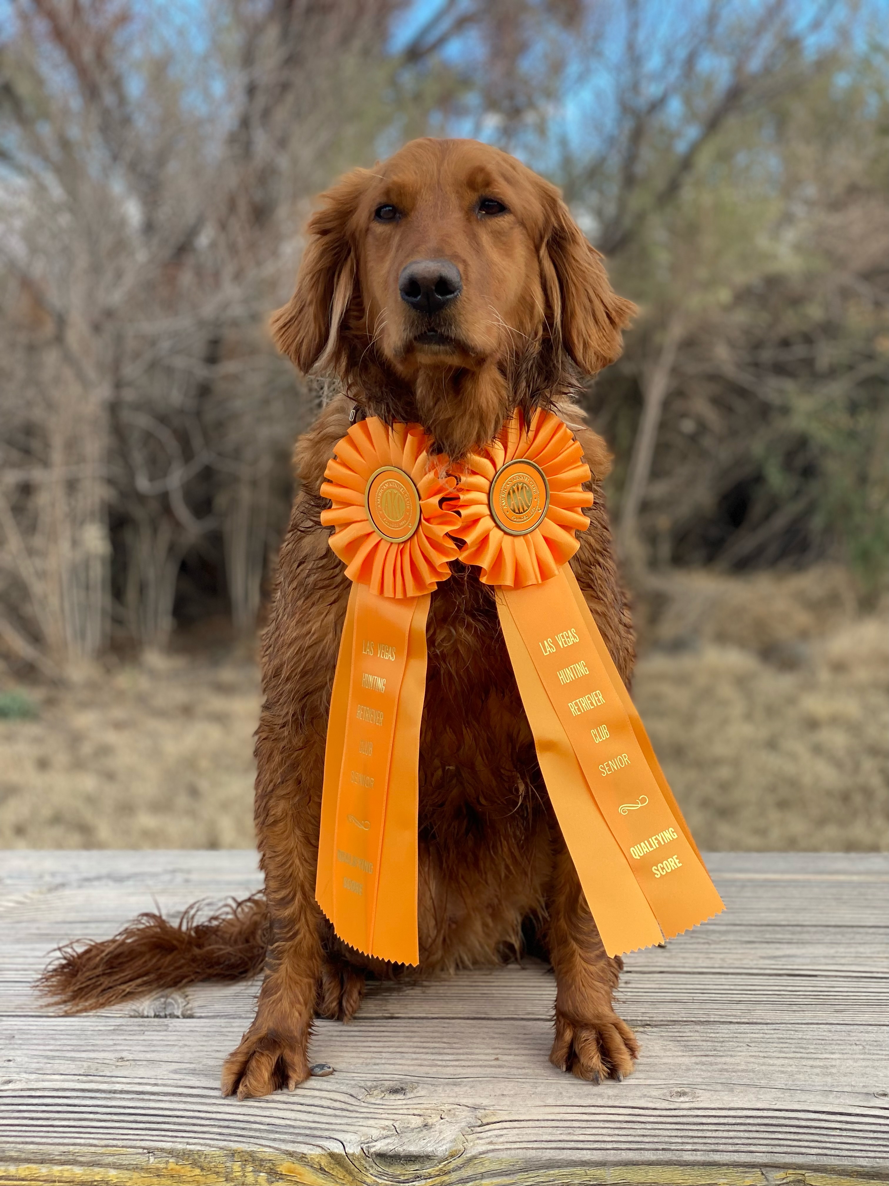Episode 22 — The Bird Dog Podcast