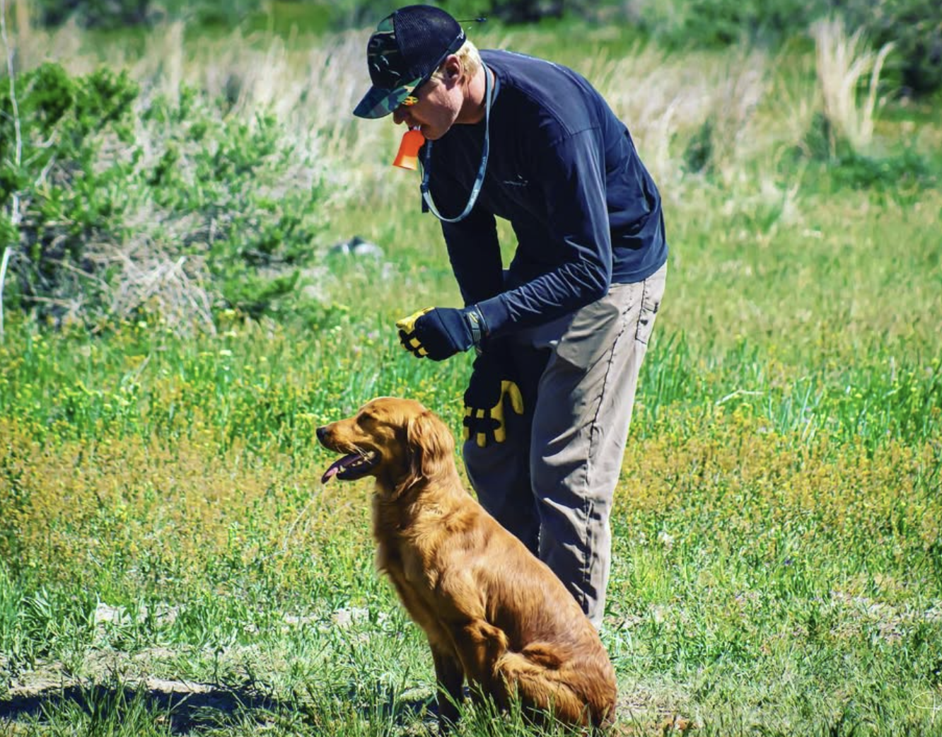 Episode 3 — The Bird Dog Podcast