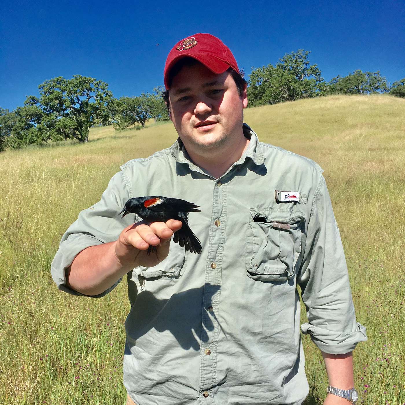 eBird, Merlin & Tracking Waterfowl Migration with Orin Robinson (Cornell Lab of Ornithology)