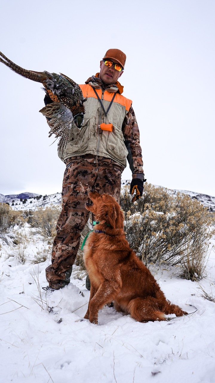 Tyce Erickson holding a pheasant with his golden retriever