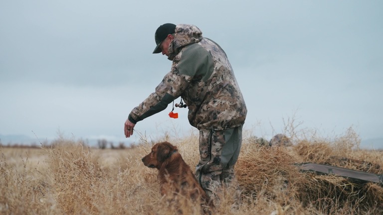 Tyce Erickson training a golden retriever in a field